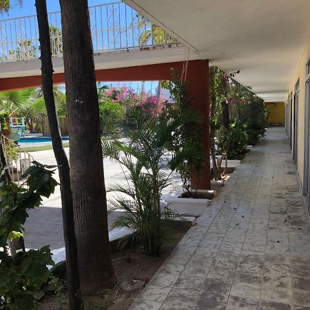 Hotel Calafia ラパス エクステリア 写真