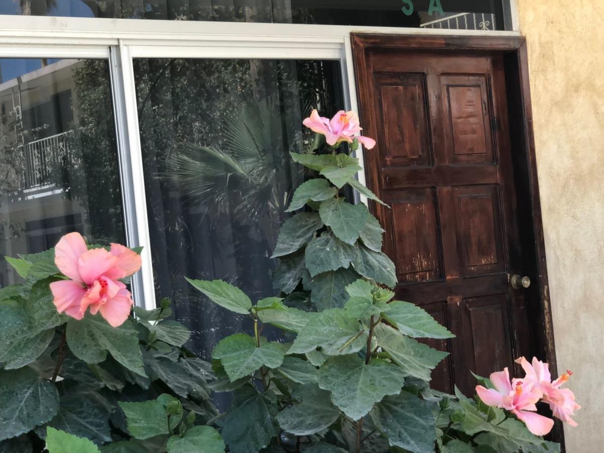 Hotel Calafia ラパス エクステリア 写真