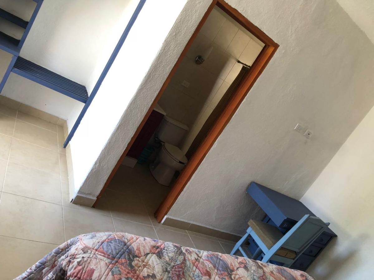 Hotel Calafia ラパス エクステリア 写真