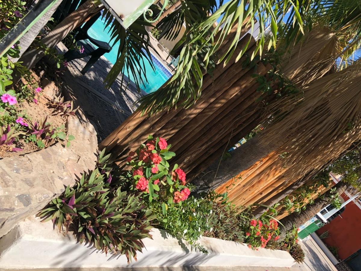 Hotel Calafia ラパス エクステリア 写真