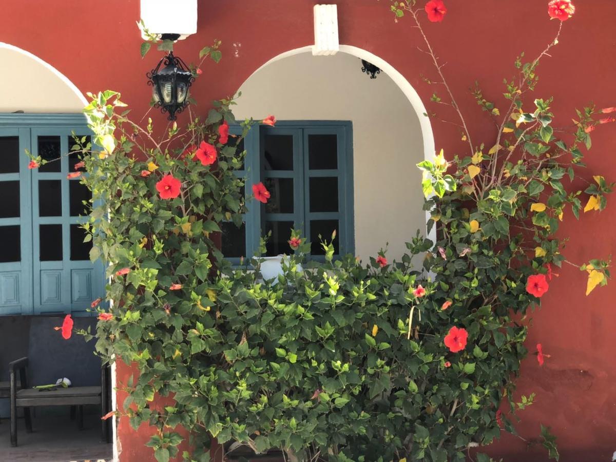 Hotel Calafia ラパス エクステリア 写真