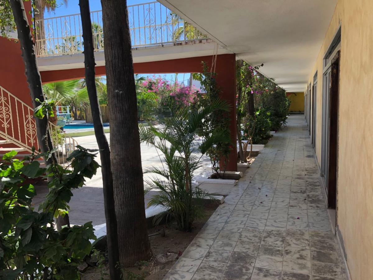 Hotel Calafia ラパス エクステリア 写真
